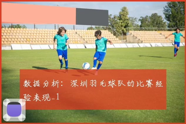 数据分析：深圳羽毛球队的比赛经验表现_1
