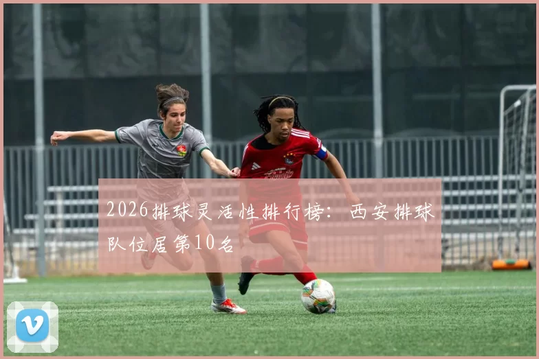 2026排球灵活性排行榜：西安排球队位居第10名