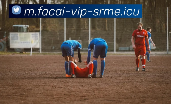 乐鱼体育服务体系